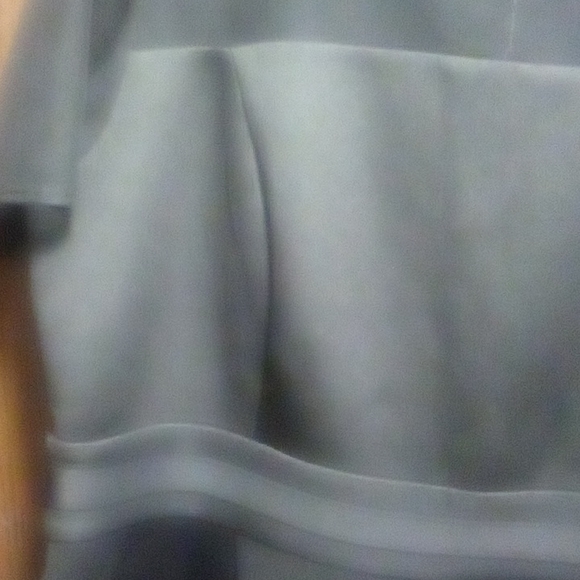 Lane Bryant Neoprene Sheer Dress - Picture 4 of 12